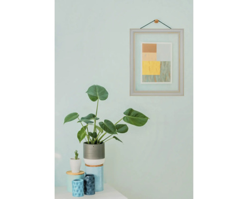 Plante d'intérieur décorative avec cadre photo au mur