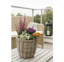 Fleurs et plantes décoratives dans un panier tressé sur une table d'extérieur.