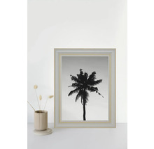 Gerahmtes Bild einer Palme