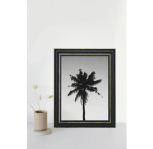 Image encadrée d'un palmier