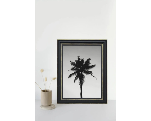 Image encadrée d'un palmier