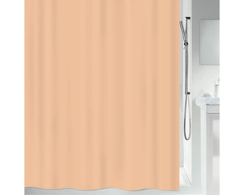 Salle de bain avec rideau de douche