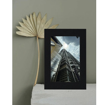 Image encadrée d'un gratte-ciel avec une feuille de palmier séchée en décoration