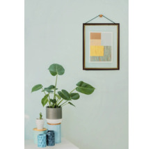 Plante d'intérieur décorative en pot, combinée à une image encadrée sur un mur