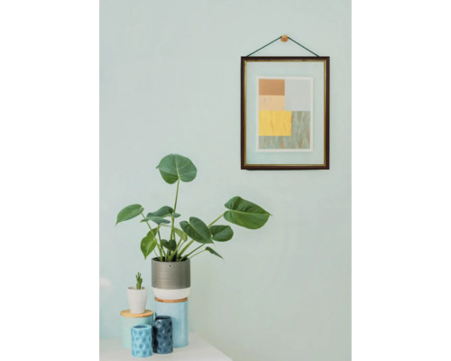 Plante d'intérieur décorative en pot, combinée à une image encadrée sur un mur