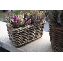 Bruyère dans un panier en osier tressé