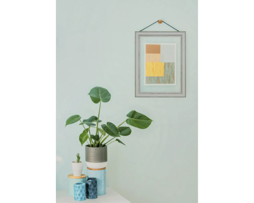 Dekorative Zimmerpflanze im Topf neben einem gerahmten Bild an der Wand