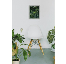 Pièce avec chaise, plantes et impression de feuilles encadrée