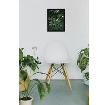 Image décorative d'une plante Monstera au-dessus d'une chaise sur le mur