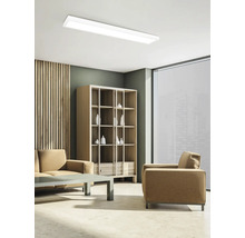 Heller Wohnraum mit Deckenleuchte, Regalen und Sitzmöbeln