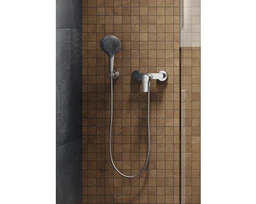 Brausegarnitur mit Handbrause und Armatur vor gefliester Wand