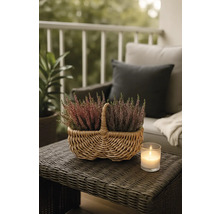 Dekorative Heidepflanzen in Weidenkorb auf einem Gartentisch mit Kerze