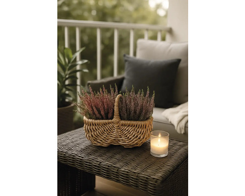 Dekorative Heidepflanzen in Weidenkorb auf einem Gartentisch mit Kerze