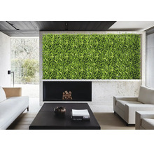 Wohnzimmer mit grüner Wand, Kamin und Möbeln