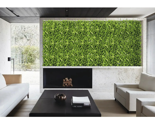 Wohnzimmer mit grüner Wand, Kamin und Möbeln