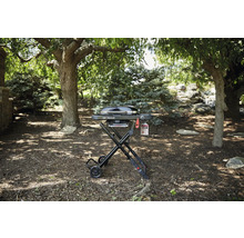 Barbecue à gaz Weber Traveler dans le jardin