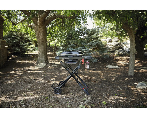 Barbecue à gaz Weber Traveler dans le jardin