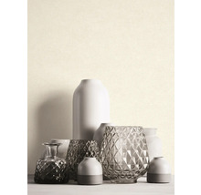 Divers vases décoratifs sur une table