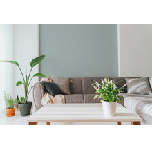 Salon avec canapé gris, coussins décoratifs, plantes d'intérieur et table blanche