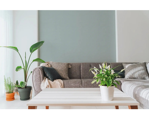 Salon avec canapé gris, coussins décoratifs, plantes d'intérieur et table blanche