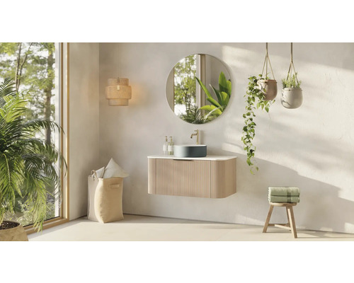 Salle de bain avec meuble-lavabo, miroir, plantes suspendues et décorations pour une ambiance lumineuse et conviviale.
