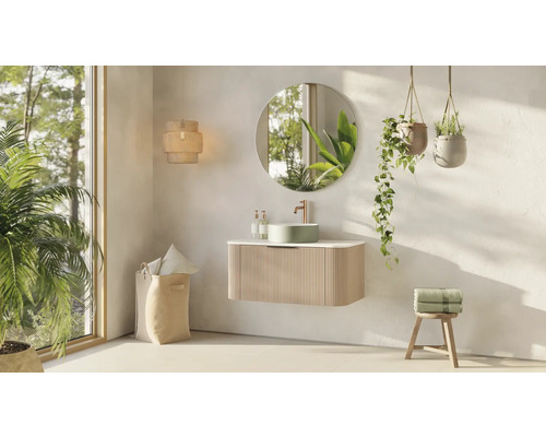 Salle de bains avec meuble-lavabo, miroir, plantes suspendues et décorations dans un style clair et convivial.