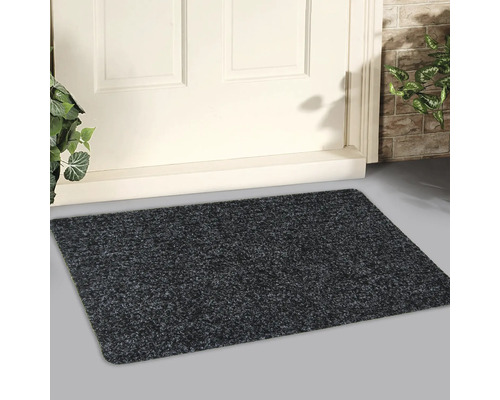 Paillasson devant une porte