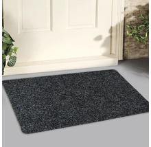 Tapis de sol devant une porte d'entrée