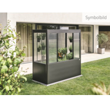 Gewächshaus im Garten mit Pflanzen