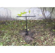 Tarière dans le jardin