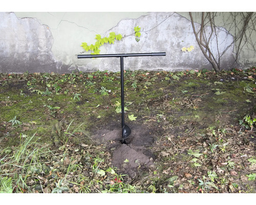 Tarière dans le jardin