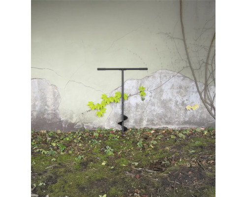 Tarière dans le jardin devant un mur