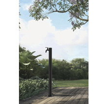 Scène de jardin avec un robinet autoportant sur une terrasse en bois