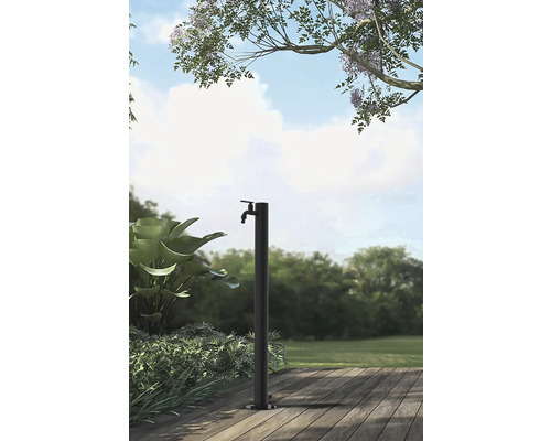 Scène de jardin avec un robinet autoportant sur une terrasse en bois