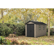 Abri de jardin en bois avec porte double et fenêtres dans le jardin