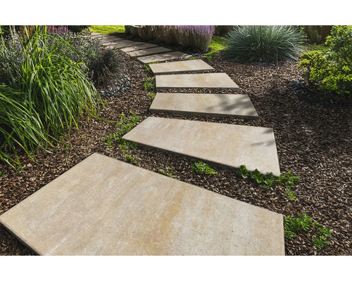 Scène de jardin avec des pas japonais rectangulaires en pierre formant un chemin à travers un jardin recouvert de paillis d'écorce