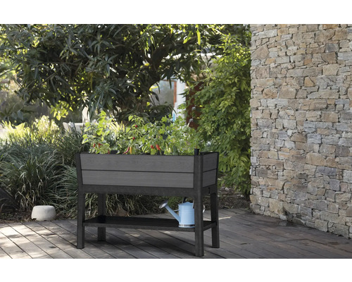 Jardinière surélevée avec plantes et arrosoir dans le jardin