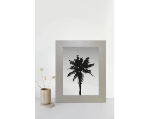 Dekorativer Bilderrahmen mit Schwarz-Weiß-Fotografie einer Palme
