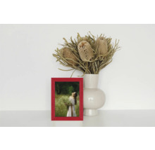 Dekorative Szene mit rotem Bilderrahmen, Trockenblumen in Vase