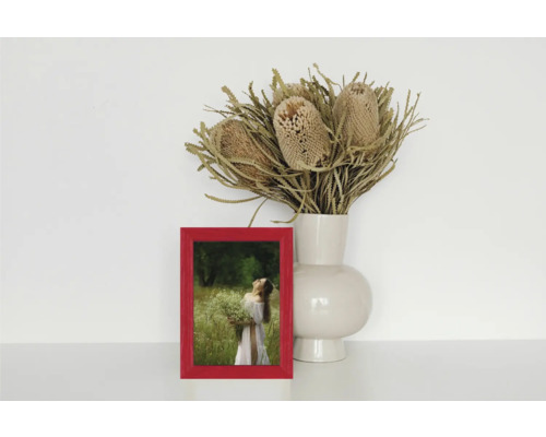 Dekorative Szene mit rotem Bilderrahmen, Trockenblumen in Vase