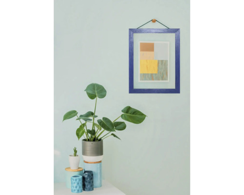 Dekorative Zimmerpflanze in einem Topf neben gerahmtem Bild an der Wand