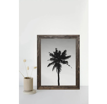 Bilderrahmen mit einem Bild einer Palme