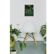 Szene mit einem Bild einer Fensterblattpflanze an der Wand, einem Stuhl und Zimmerpflanzen.