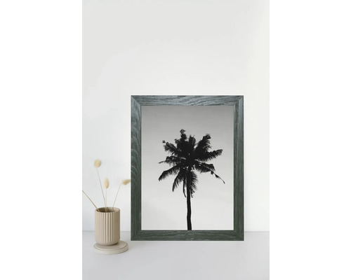 Bilderrahmen mit einem Bild von einer Palme