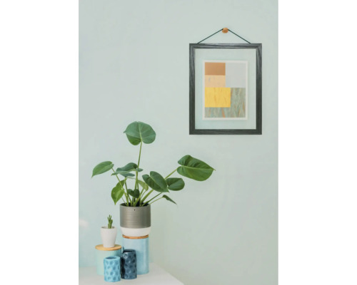 Dekorative Zimmerpflanze in modernem Topf neben gerahmtem Bild an der Wand