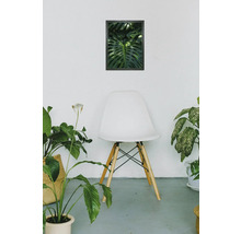 Dekoratives Interieur mit gerahmtem Pflanzenbild, Stuhl und Zimmerpflanzen.