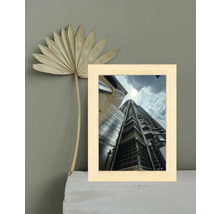 Bilderrahmen mit Hochhausmotiv und getrocknetem Palmenblatt