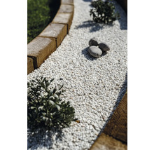 Vue détaillée d'un chemin de jardin avec bordure en bois et gravillons décoratifs