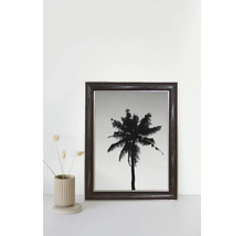 Gerahmtes Bild einer Palme