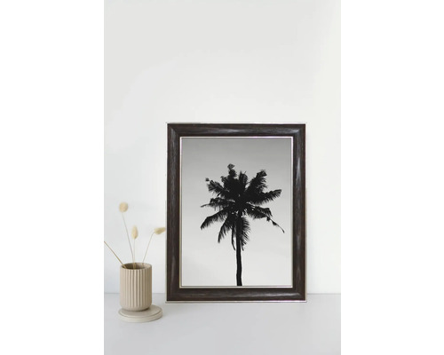 Gerahmtes Bild einer Palme